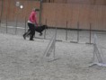 /album/tordaszoo-agility-kupa-2013-oktober1/pa190078-2-jpg1/